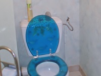 WiCi Bati WC-Handwaschbecken Kombination - Frau M (Frankreich - 39) - 1 auf 2 (vorher)